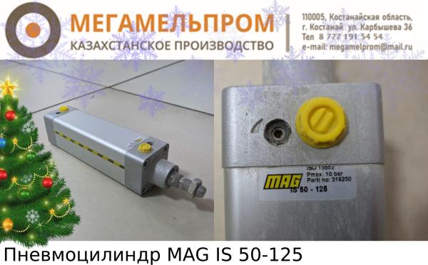 Пневмоцилиндр MAG IS 50-125 (Фото)